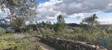 Acheter Terrain 2640 m2 PENAMACOR