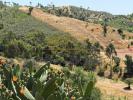 Annonce Vente Terrain PORTIMAO