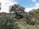 Acheter Appartement MADEIRA rgion CASTELO-BRANCO