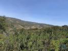 Annonce Vente Terrain LOULE