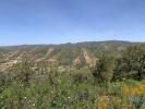 Acheter Terrain 9960 m2 LOULE