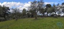 Acheter Terrain PENAMACOR rgion CASTELO-BRANCO