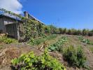 Acheter Maison 54 m2 PORTO-DA-CRUZ