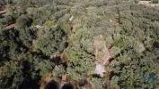 Annonce Vente Terrain FERREIRA-DO-ZEZERE
