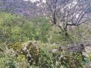 Acheter Terrain 3040 m2 FERREIRA-DO-ZEZERE