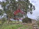 Vente Local industriel LOURINHA 2530
