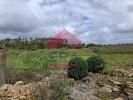 Acheter Local industriel 96 m2 LOURINHA