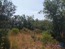 Annonce Vente Terrain FERREIRA-DO-ZEZERE