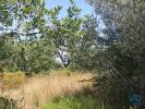 Acheter Terrain 1560 m2 FERREIRA-DO-ZEZERE