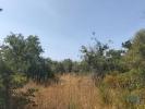 Acheter Terrain FERREIRA-DO-ZEZERE rgion SANTAREM