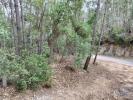 Acheter Terrain 1480 m2 FERREIRA-DO-ZEZERE