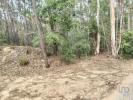 Acheter Terrain FERREIRA-DO-ZEZERE rgion SANTAREM