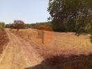 Annonce Vente Terrain LOULE