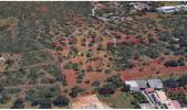 Annonce Vente Terrain LOULE