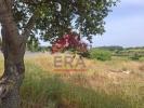 Acheter Terrain 729 m2 LOURINHA