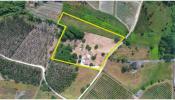 Annonce Vente Maison ALCOENTRE