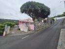Annonce Vente Maison ARCO-DA-CALHETA