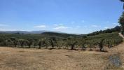 Annonce Vente Terrain CADAVAL