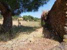 Acheter Immeuble 115 m2 PORTALEGRE
