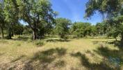 Acheter Terrain 32767 m2 PONTE-DE-SOR