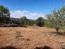 Acheter Terrain LOULE rgion FARO