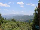 Acheter Terrain 129 m2 OLIVEIRA-DO-HOSPITAL