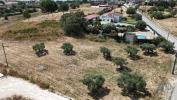Acheter Terrain RIO-MAIOR rgion SANTAREM