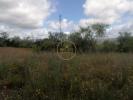 Acheter Terrain 50 m2 LOULE