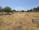 Acheter Terrain 2000 m2 FARO
