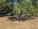 Acheter Terrain FARO rgion FARO