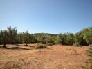 Annonce Vente Terrain LOULE