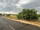 Annonce Vente Terrain TAVIRA