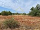 Annonce Vente Terrain FARO