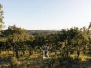 Annonce Vente Terrain ABELA