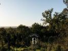 Acheter Terrain ABELA rgion SETUBAL