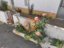 Annonce Vente Maison CASTRO-MARIM