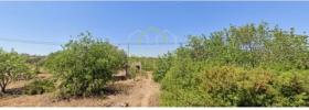 Annonce Vente Terrain OLHAO
