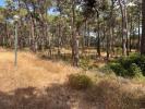 Annonce Vente Terrain ALMADA