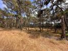 Acheter Terrain ALMADA rgion SETUBAL