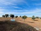 Acheter Terrain 178 m2 FERREIRA-DO-ALENTEJO