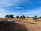 Acheter Terrain FERREIRA-DO-ALENTEJO rgion BEJA