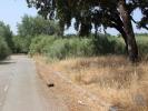 Annonce Vente Terrain PALMELA