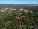 Annonce Vente Terrain ALEM-DA-RIBEIRA