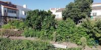 Acheter Terrain SETUBAL rgion SETUBAL
