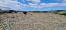 Acheter Terrain 1375 m2 MAFRA