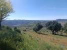 Annonce Vente Terrain FORNOS