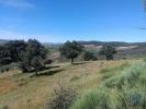Acheter Terrain FORNOS rgion BRAGANCA