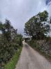 Acheter Terrain 1570 m2 LOULE