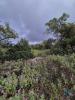 Acheter Terrain LOULE rgion FARO
