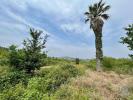 Acheter Terrain 32767 m2 GUARDIZELA